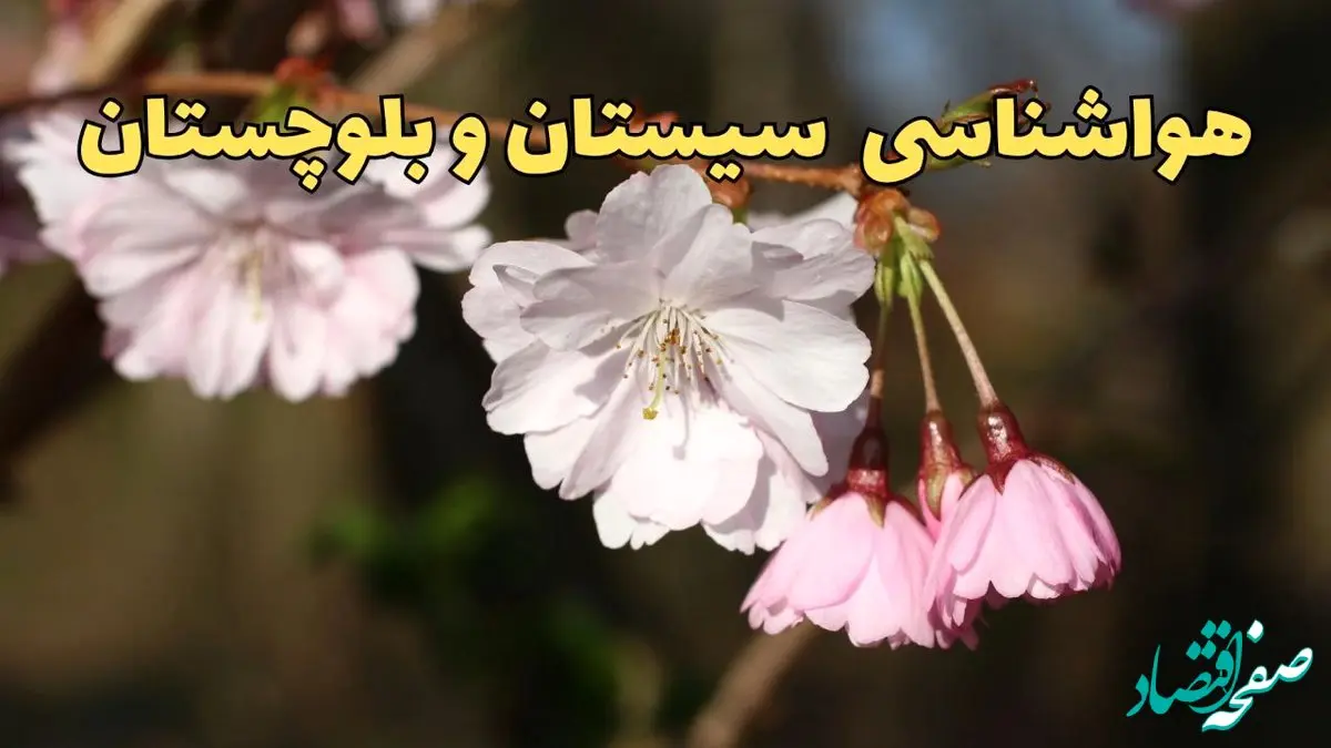 پیش بینی وضعیت آب و هوا سیستان و بلوچستان فردا یکشنبه ۱۷ فروردین ماه ۱۴۰۴ | پیش بینی هواشناسی سیستان و بلوچستان ۲۴ ساعت آینده | هواشناسی زاهدان + آب و هوای زاهدان