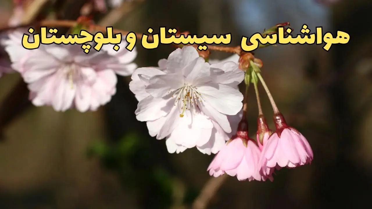 پیش بینی وضعیت آب و هوا سیستان و بلوچستان فردا یکشنبه ۱۷ فروردین ماه ۱۴۰۴ | پیش بینی هواشناسی سیستان و بلوچستان ۲۴ ساعت آینده | هواشناسی زاهدان + آب و هوای زاهدان