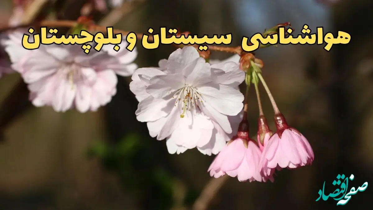 پیش بینی وضعیت آب و هوا سیستان و بلوچستان فردا یکشنبه ۹ فروردین ماه ۱۴۰۵ + هواشناسی زاهدان ۲۴ ساعت آینده + وضعیت هوای فردا زاهدان