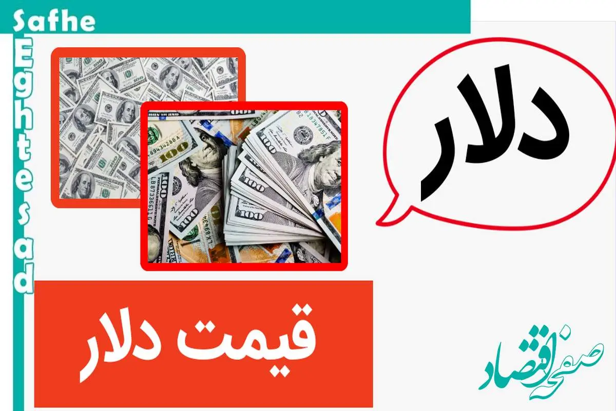 دلار واقعا به فنا رفت قیمت دلار امروز دوشنبه ۲۵ تیر ماه ۱۴۰۳