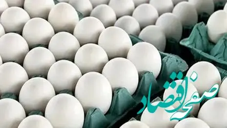 گرانی تخم مرغ؛ قیمت به بالای ۲۰۰ هزار تومان رسید!
