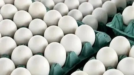 گرانی تخم مرغ؛ قیمت به بالای ۲۰۰ هزار تومان رسید!