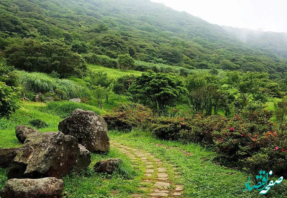 قیمت تورهای جنگلی نوروز ۱۴۰۴ اعلام شد