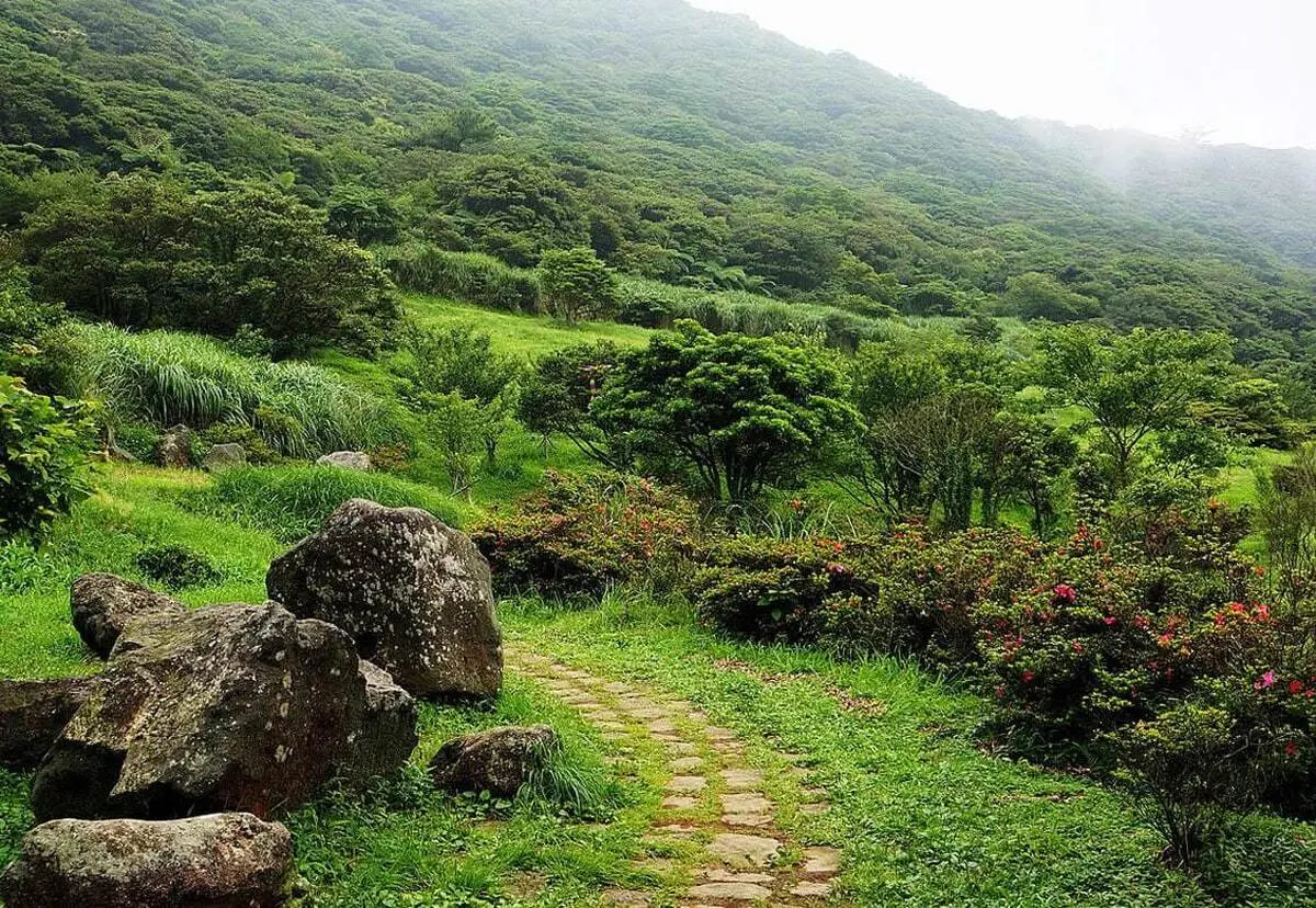 قیمت تورهای جنگلی نوروز ۱۴۰۴ اعلام شد