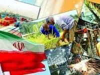 این شهر پایلوت طرح مشاغل عمومی شد