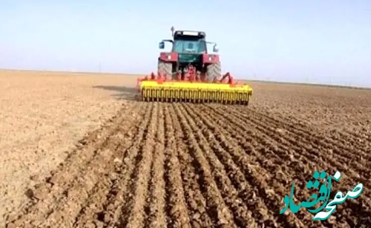 کشت ۶ میلیون هکتار گندم / ‌ کاهش بارندگی نسبت به سال گذشته