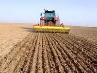 کشت ۶ میلیون هکتار گندم / ‌ کاهش بارندگی نسبت به سال گذشته
