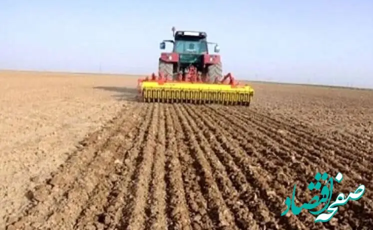 کشت ۶ میلیون هکتار گندم / ‌ کاهش بارندگی نسبت به سال گذشته