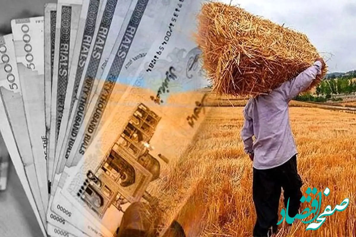 آخرین خبر از خرید تضمینی گندم امروز دوشنبه ۲۷ مرداد ماه ۱۴۰۴ | پرداخت دلاری مطالبات گندمکاران کلیک خورد؟