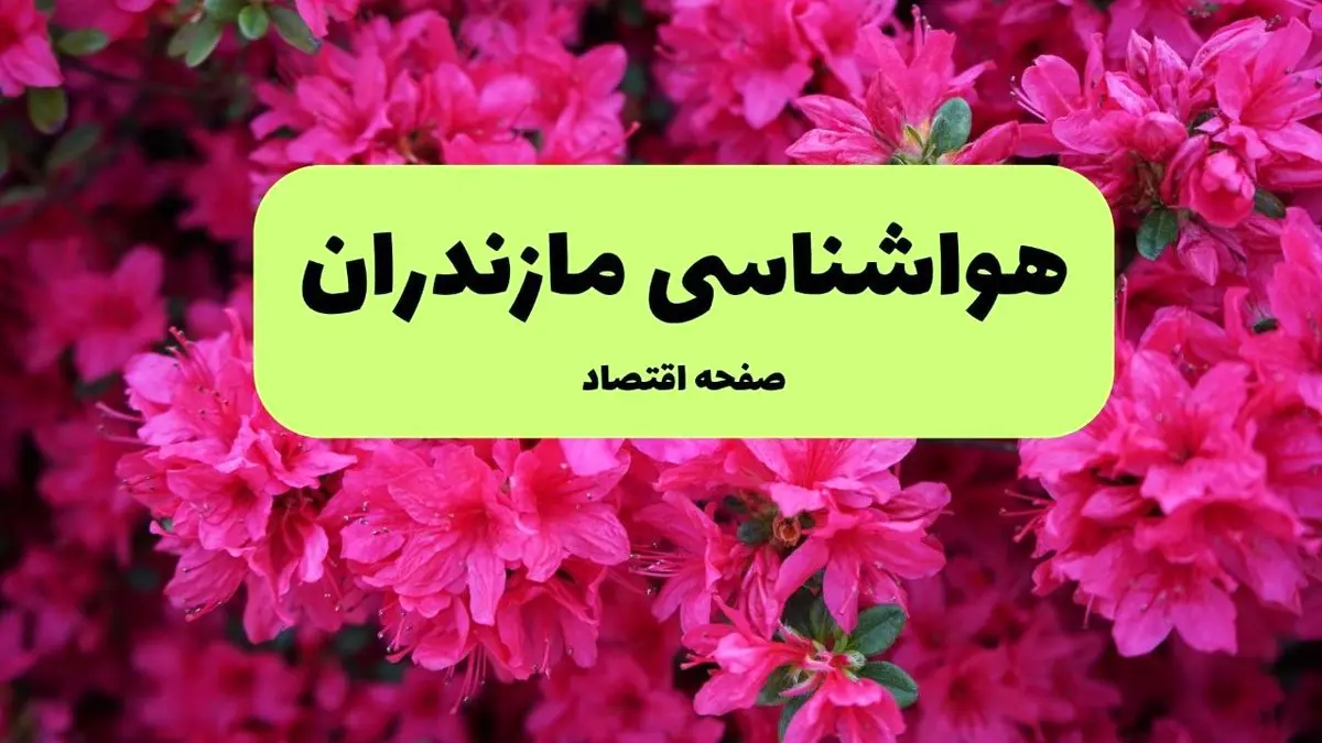 هواشناسی مازندران ۲۴ ساعت آینده اعلام شد | پیش بینی وضعیت آب و هوا مازندران فردا دوشنبه ۱۹ خرداد ماه ۱۴۰۴ 