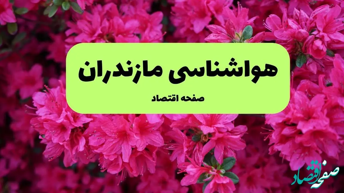 هواشناسی مازندران ۲۴ ساعت آینده اعلام شد | پیش بینی وضعیت آب و هوا مازندران فردا دوشنبه ۱۹ خرداد ماه ۱۴۰۴ 