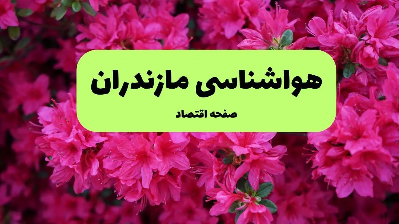 پیش بینی وضعیت آب و هوا مازندران فردا یکشنبه ۱ تیر ماه ۱۴۰۴ | هواشناسی مازندران فردا یکم تیر ماه + هواشناسی ساری