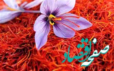 عرضه ۴۰۰ کیلوگرم طلای سرخ در بورس کالا