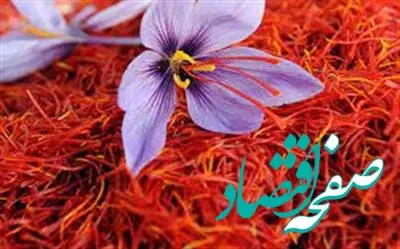 عرضه ۴۰۰ کیلوگرم طلای سرخ در بورس کالا
