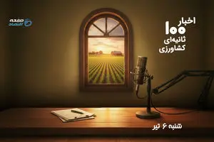  از تأخیر در پرداخت مطالبات گندم‌کاران تا گرانی نان و هشدار درباره آینده کشاورزی