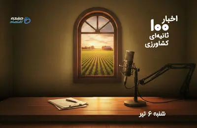  از تأخیر در پرداخت مطالبات گندم‌کاران تا گرانی نان و هشدار درباره آینده کشاورزی