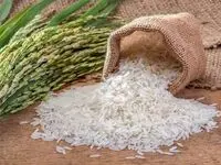 علل اصلی نوسانات قیمت برنج این روزها در بازار چیست؟
