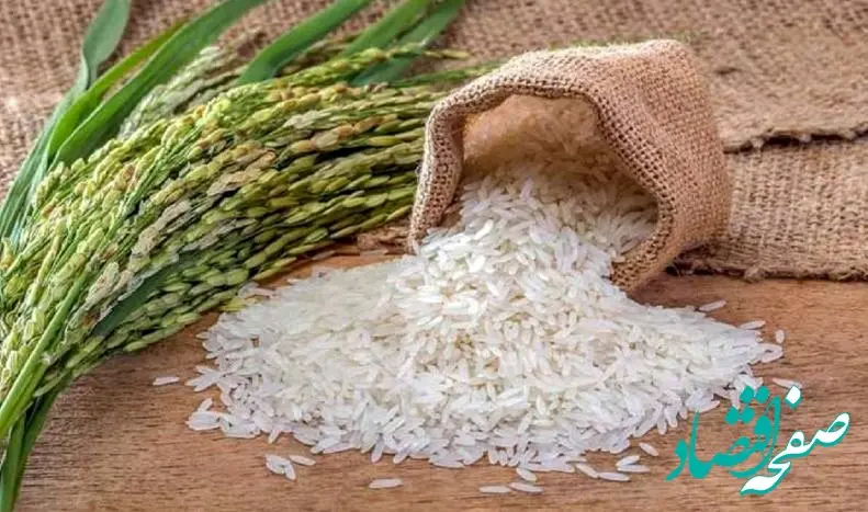 علل اصلی نوسانات قیمت برنج این روزها در بازار چیست؟