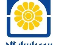 بیمه پاسارگاد، رتبه های تک رقمی، رشدهای دو رقمی