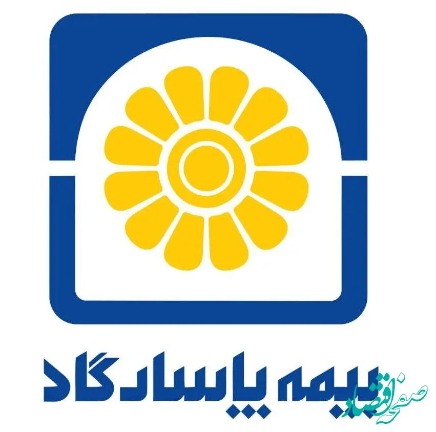 بیمه پاسارگاد، رتبه های تک رقمی، رشدهای دو رقمی