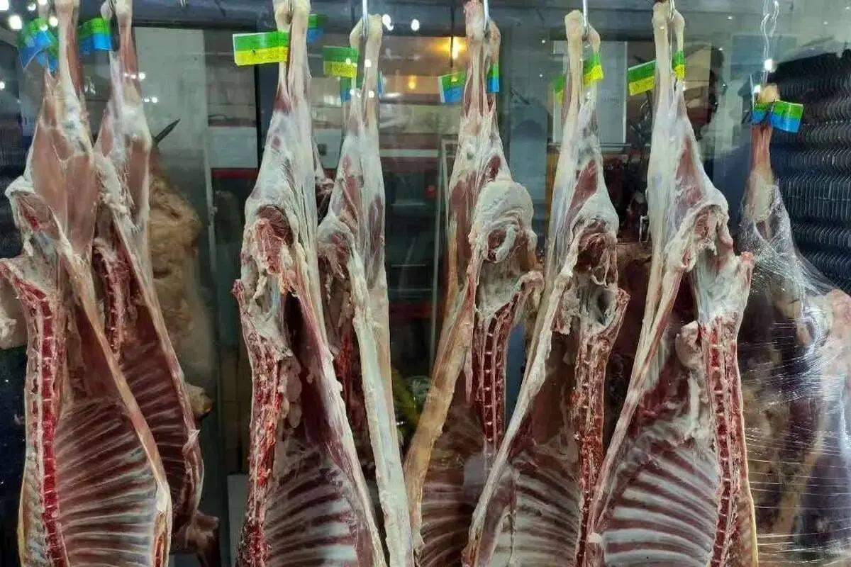 قیمت گوشت گوسفندی و گوشت گوساله امروز سه شنبه ۴ دی ۱۴۰۳