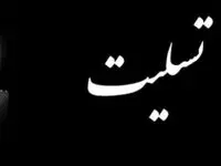 پیام تسلیت و تبریک مدیرعامل بانک سپه در پی شهادت دکتر علی لاریجانی
