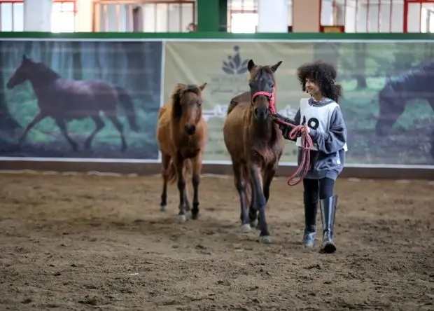 بیستمین جشنواره ملی زیبایی اسب کاسپین در منطقه آزاد انزلی برگزار شد