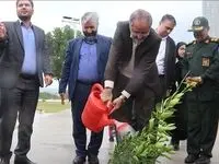 کاشت 22 نهال به یاد 22 شهید جزیره جهانی قشم در روز درختکاری