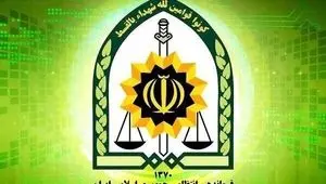 بازداشت فوری عامل انتشار مطالب ضد نیروهای مدافع وطن