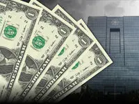 میزان ارز اختصاصی به واردات اعلام شد