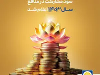 سود مشارکت در منافع سال ۱۴۰۳ بیمه پاسارگاد اعلام شد