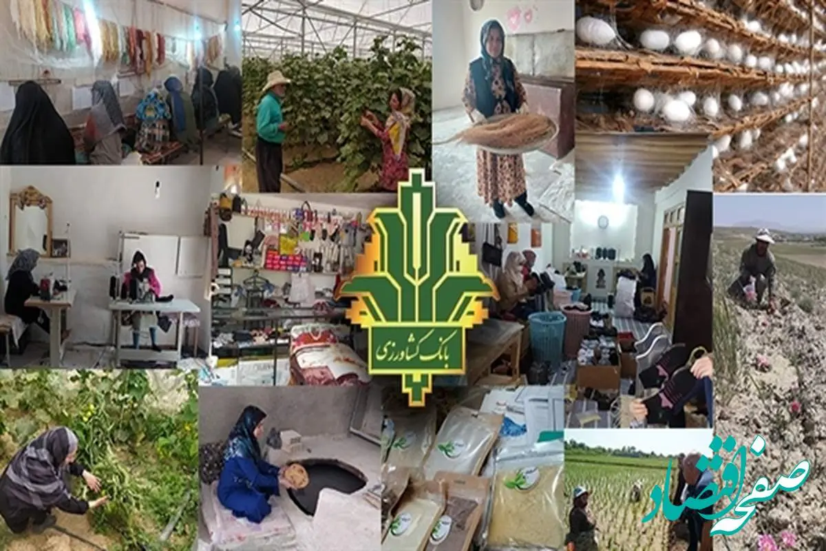 اعتبارطرح بانکداری پیوندی در بانک کشاورزی به 10 هزار میلیارد ریال رسید
