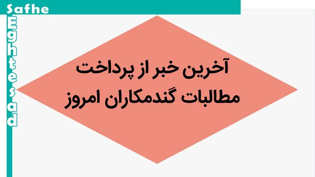 آخرین خبر از پرداخت مطالبات گندمکاران امروز جمعه ۲ شهریور ماه ۱۴۰۳ | مطالبات گندمکاران به موقع پرداخت نمی‌شود