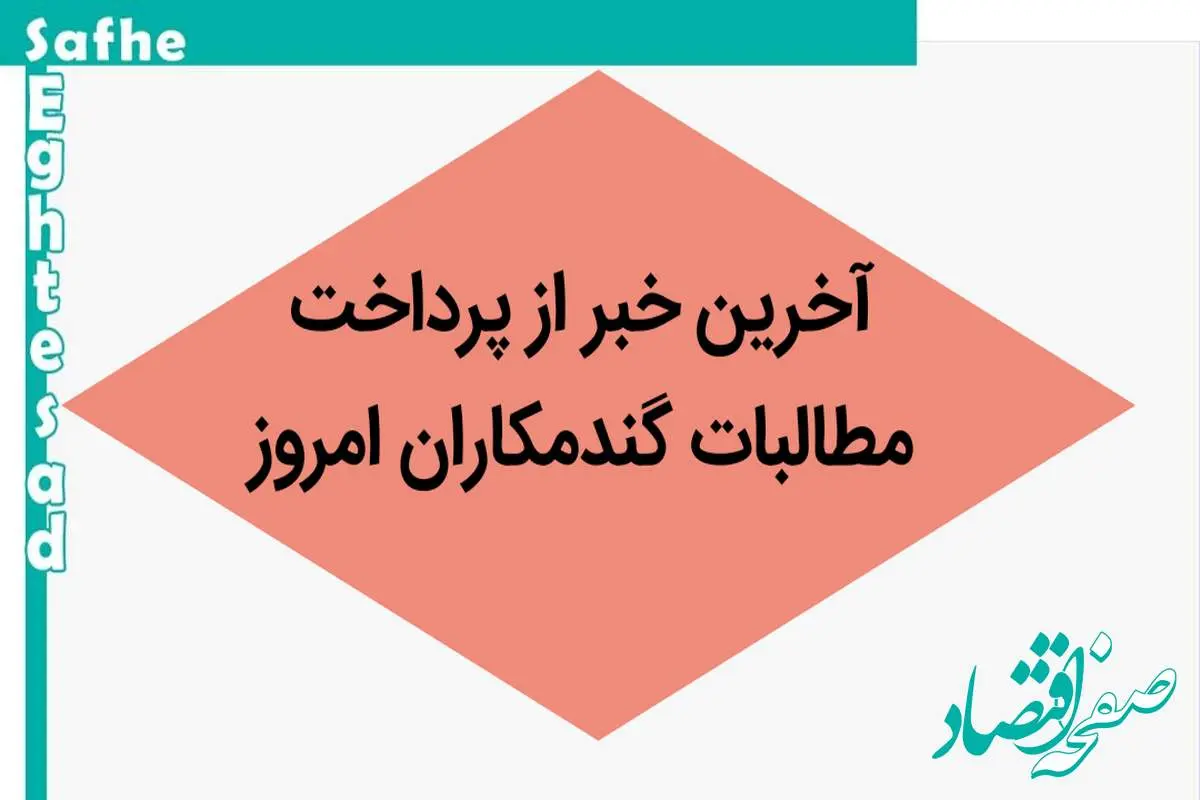 آخرین خبر از پرداخت مطالبات گندمکاران امروز جمعه ۲ شهریور ماه ۱۴۰۳ | مطالبات گندمکاران به موقع پرداخت نمی‌شود