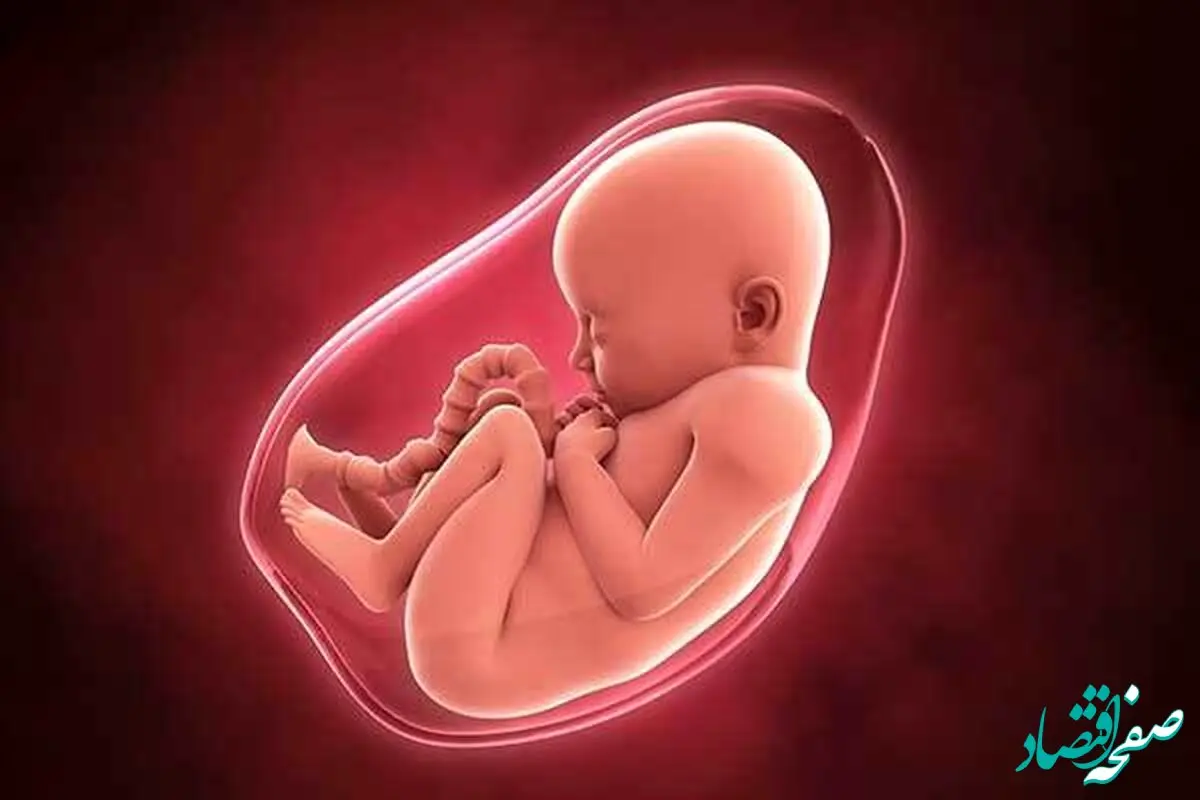 در چه شرایطی مادر سراغ رحم جایگزین یا رحم اجاره ای باید برود؟