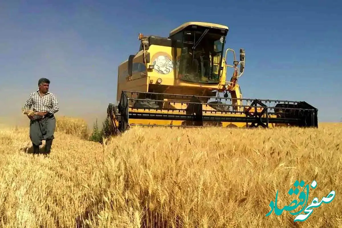 آیا گندم وارداتی باز هم ارزان‌تر از گندم داخلی خواهد بود!؟