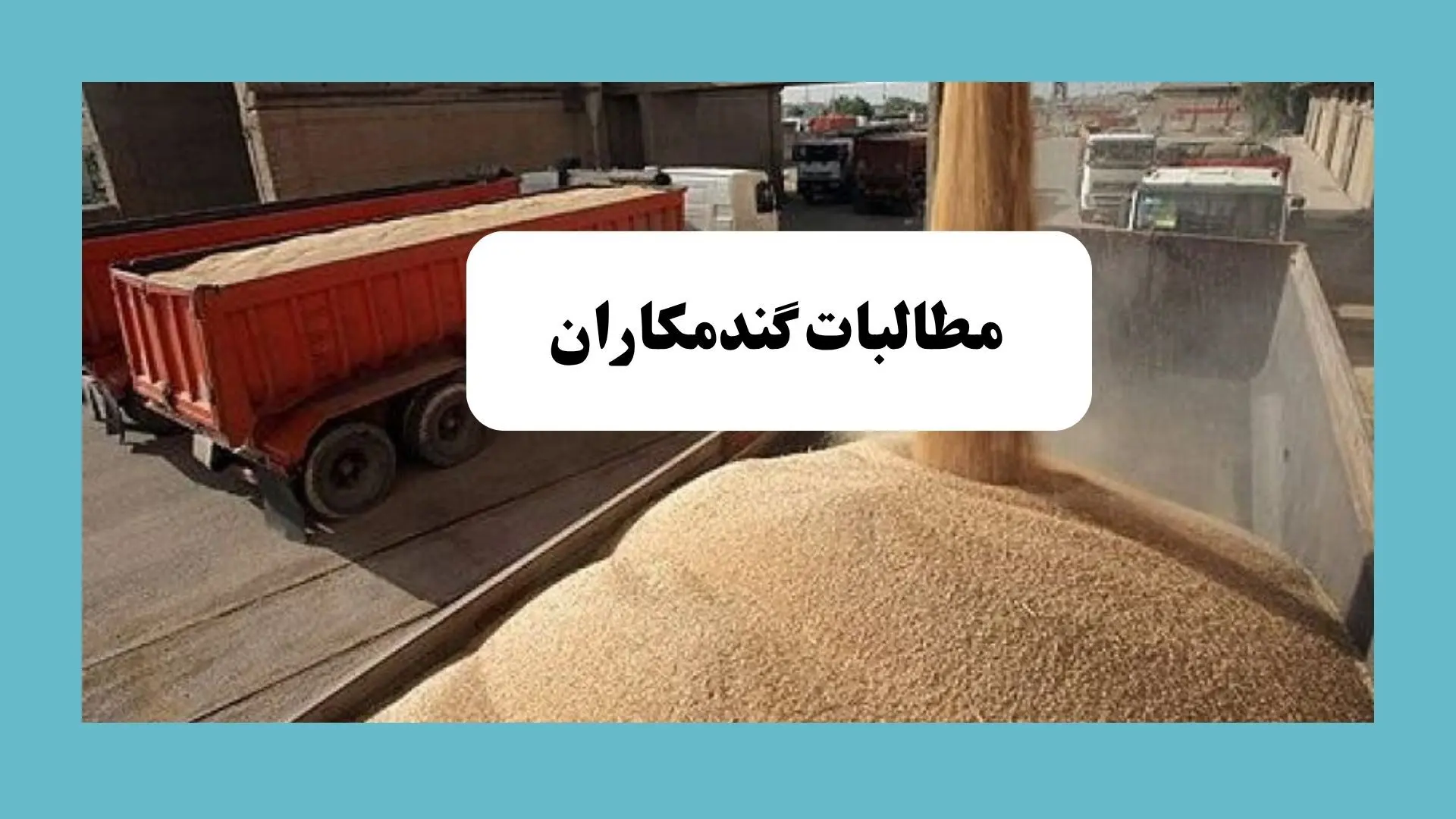 آخرین خبر از خرید تضمینی گندم امروز یکشنبه ۱۵ تیر ماه ۱۴۰۴ | از زمان پرداخت مطالبات گندمکاران تا خبر خوش از قیمت گندم