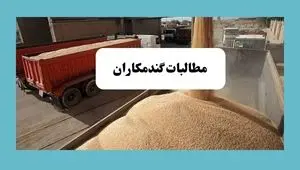 آخرین خبر از خرید تضمینی گندم امروز یکشنبه ۱۵ تیر ماه ۱۴۰۴ | از زمان پرداخت مطالبات گندمکاران تا خبر خوش از قیمت گندم