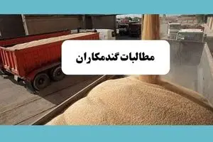 آخرین خبر از خرید تضمینی گندم امروز یکشنبه ۱۵ تیر ماه ۱۴۰۴ | از زمان پرداخت مطالبات گندمکاران تا خبر خوش از قیمت گندم