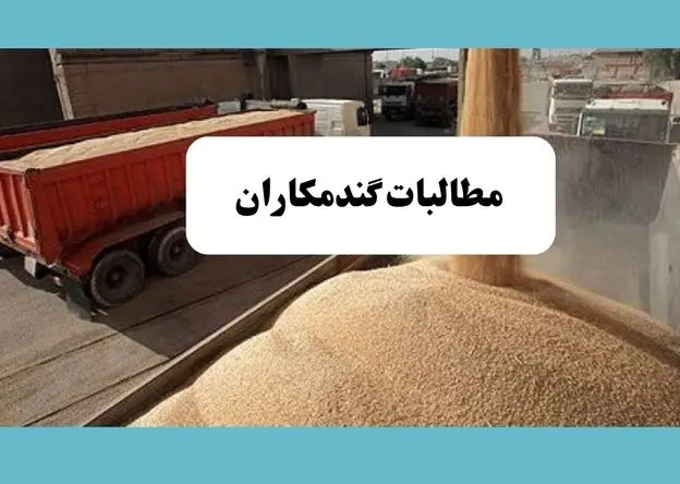 آخرین خبر از خرید تضمینی گندم امروز یکشنبه ۱۵ تیر ماه ۱۴۰۴ | از زمان پرداخت مطالبات گندمکاران تا خبر خوش از قیمت گندم