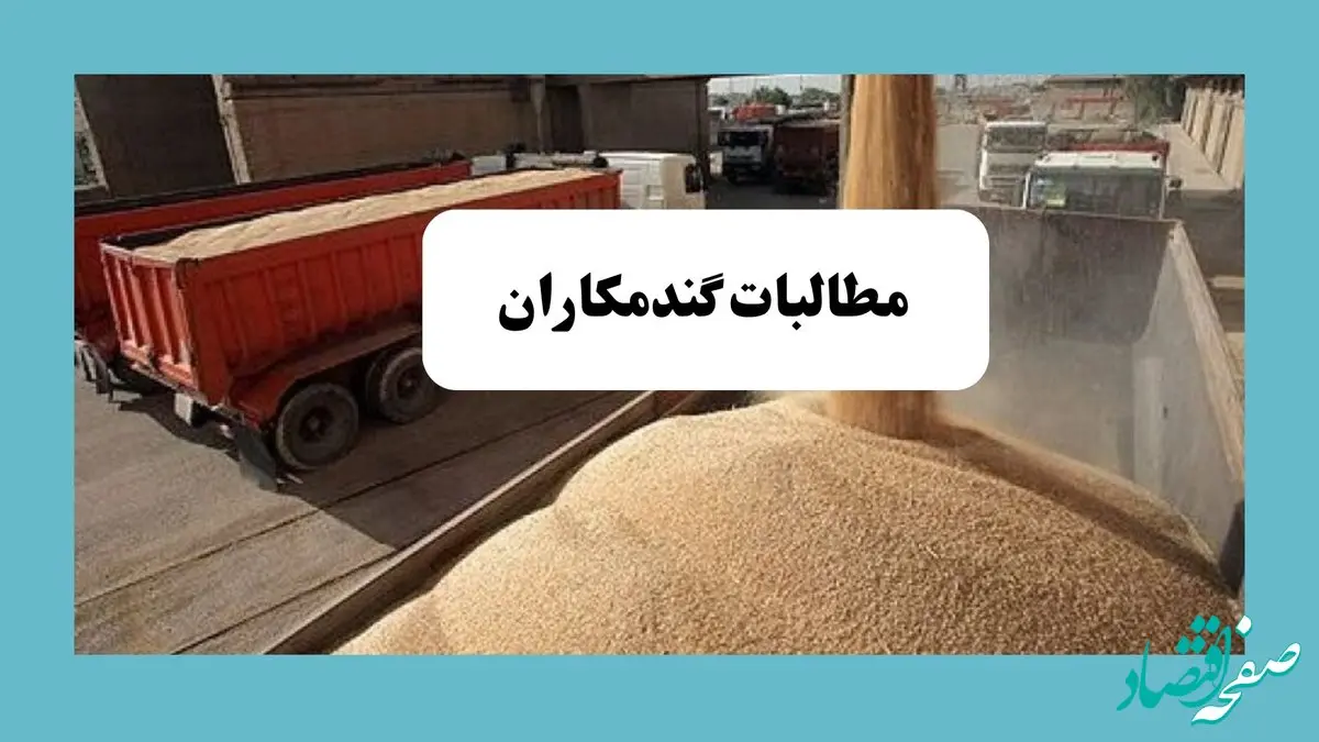 آخرین خبر از خرید تضمینی گندم امروز یکشنبه ۱۵ تیر ماه ۱۴۰۴ | از زمان پرداخت مطالبات گندمکاران تا خبر خوش از قیمت گندم