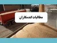 آخرین خبر از خرید تضمینی گندم امروز یکشنبه ۱۵ تیر ماه ۱۴۰۴ | از زمان پرداخت مطالبات گندمکاران تا خبر خوش از قیمت گندم