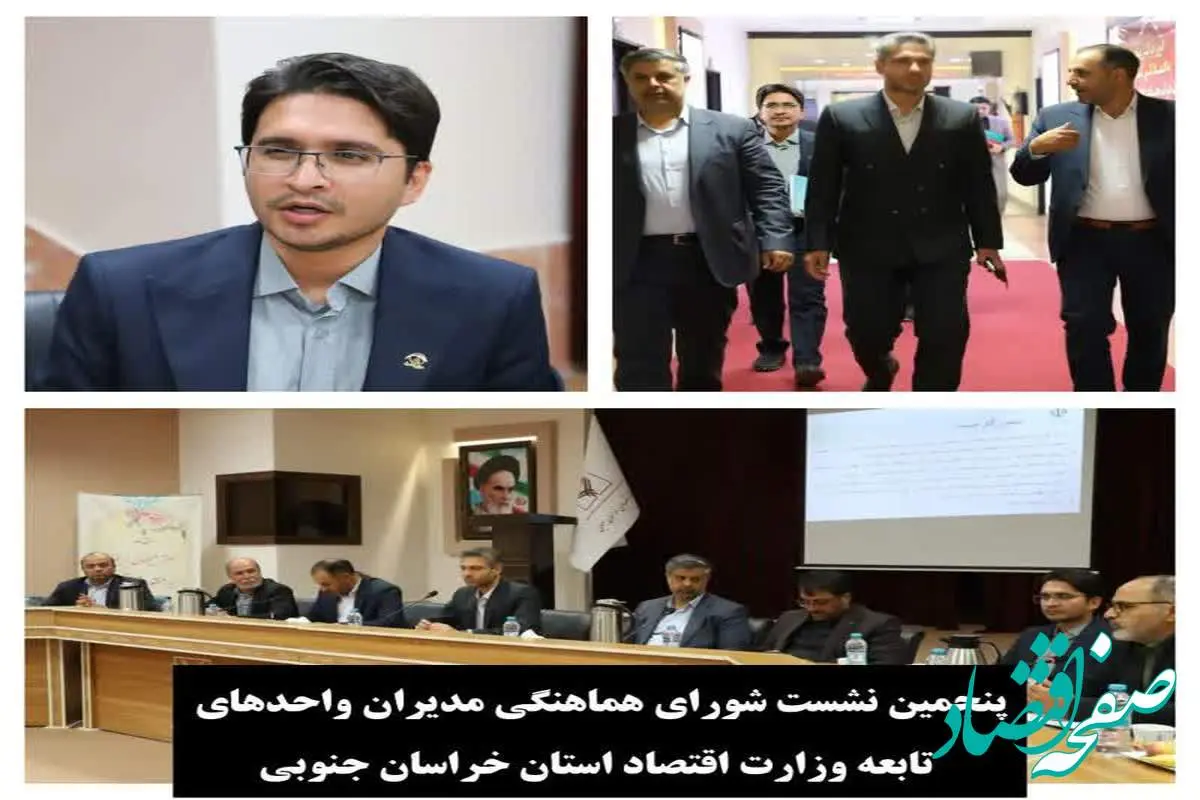 مدیرکل اقتصاد و دارایی خراسان جنوبی از عملکرد صندوق تامین قدردانی کرد