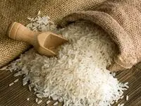 چرا دولت مجبور به تعیین قیمت دستوری برنج شد؟