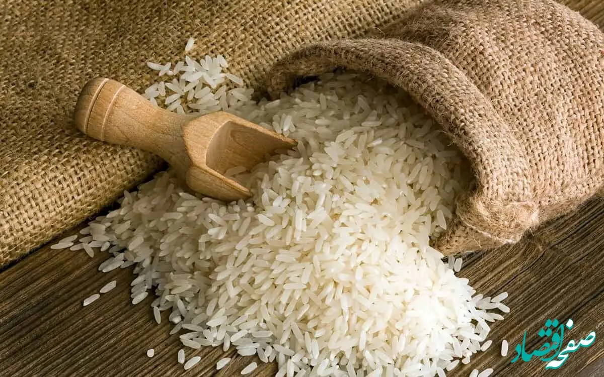 فرصت طلایی برای خرید برنج ارزان!/مراکز فروش برنج ۴۸ هزار تومانی را از دست ندهید