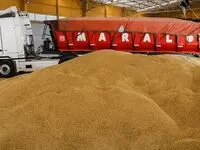 پیش بینی خرید گندم از ۱۰ به ۸ میلیون تن کاهش یافت / ۱۳۵ هزار میلیارد تومان طلب کشاورزان
