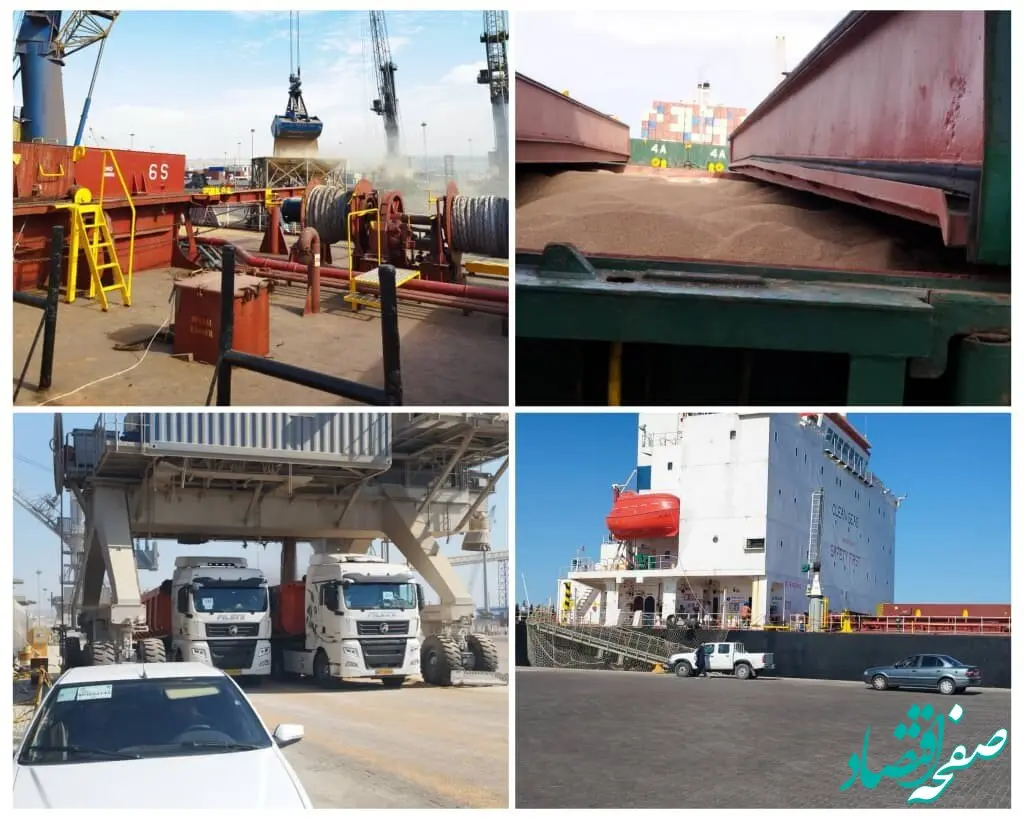اقدامات منطقه آزاد چابهار برای تقویت امنیت غذایی