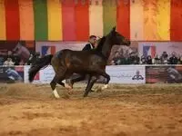 اثرات اقتصادی گردشگری ورزشی بر جامعه میزبان