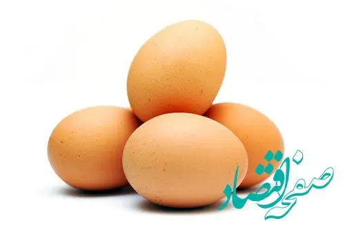 جدول قیمت تخم مرغ امروز پنجشنبه ۲۹ آذر ۱۴۰۳