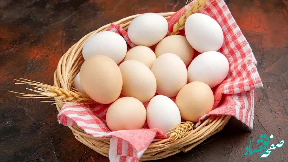 آخرین قیمت تخم مرغ امروز شنبه ۸ دی ۱۴۰۳